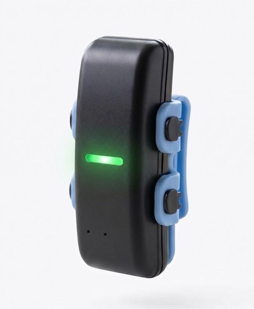 Paw Pet Coleira inteligente