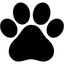 Pata de cachorro